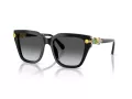 Swarovski SK 6041 1001T3 53 Occhiali da Sole