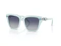 Swarovski SK 6041 10244L 53 Occhiali da Sole