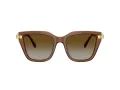 Swarovski SK 6041 1067T5 53 Occhiali da Sole
