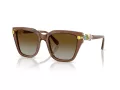 Swarovski SK 6041 1067T5 53 Occhiali da Sole