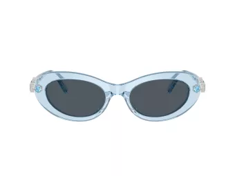 Swarovski SK 6042 107887 53 Occhiali da Sole