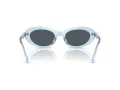 Swarovski SK 6042 107887 53 Occhiali da Sole