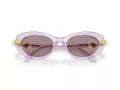 Swarovski SK 6042 1079LA 53 Occhiali da Sole