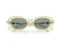 Swarovski SK 6042 1080/1 53 Occhiali da Sole