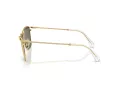 Swarovski SK 7006 4003U5 58 Occhiali da Sole