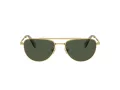Swarovski SK 7007 401782 53 Occhiali da Sole