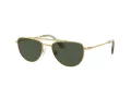 Swarovski SK 7007 401782 53 Occhiali da Sole