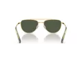 Swarovski SK 7007 401782 53 Occhiali da Sole