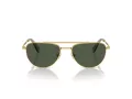 Swarovski SK 7007 401782 53 Occhiali da Sole