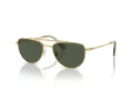 Swarovski SK 7007 401782 53 Occhiali da Sole