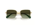 Swarovski SK 7015 4004E8 56 Occhiali da Sole