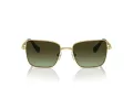 Swarovski SK 7015 4004E8 56 Occhiali da Sole