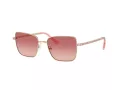 Swarovski SK 7015 4013A5 56 Occhiali da Sole
