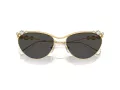 Swarovski SK 7017 400487 58 Occhiali da Sole