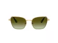 Swarovski SK 7029 4004E8 55 Occhiali da Sole
