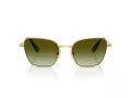Swarovski SK 7029 4004E8 55 Occhiali da Sole
