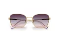 Swarovski SK 7029 4036U7 55 Occhiali da Sole
