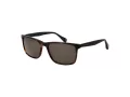 Ted Baker TB 1728 104 58 Occhiali da Sole