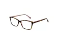 Ted Baker TB 9101 222 53 occhiali da vista