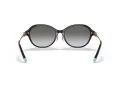 Tiffany TF 4188D 80013C 55 Occhiali da Sole
